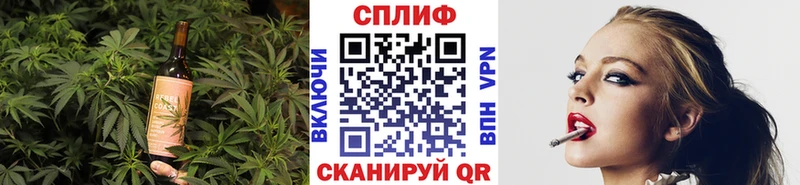 Купить  Алексеевка  Canna-Cookies конопля 