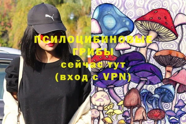 амф Майский