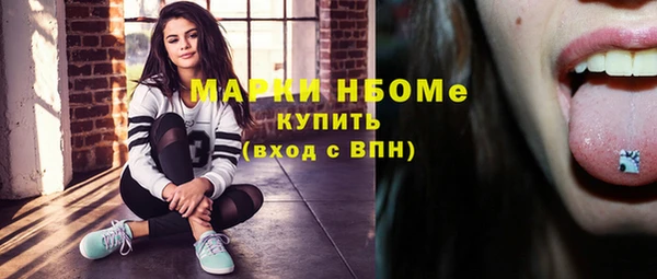 амф Майский