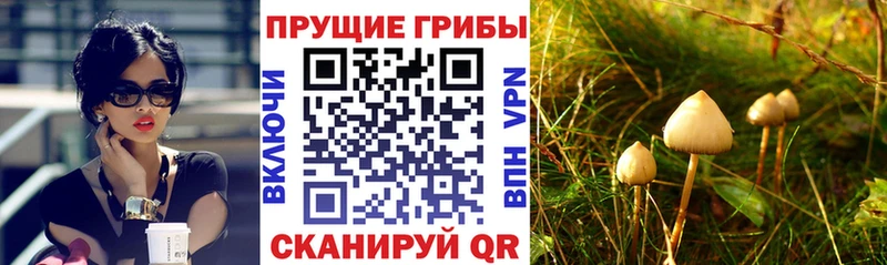 Галлюциногенные грибы ЛСД  Купить  Алексеевка 